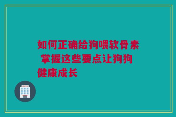 如何正确给狗喂软骨素 掌握这些要点让狗狗健康成长