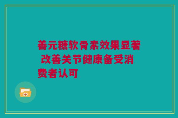 善元糖软骨素效果显著 改善关节健康备受消费者认可
