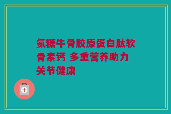 氨糖牛骨胶原蛋白肽软骨素钙 多重营养助力关节健康