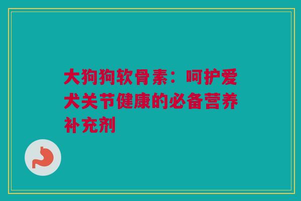 大狗狗软骨素：呵护爱犬关节健康的必备营养补充剂