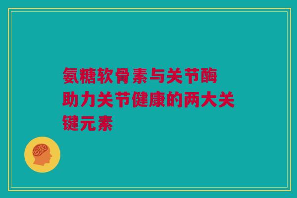 氨糖软骨素与关节酶 助力关节健康的两大关键元素