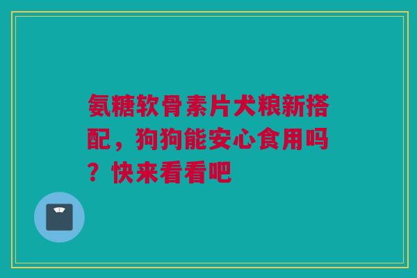 氨糖软骨素片犬粮新搭配，狗狗能安心食用吗？快来看看吧