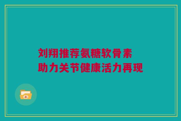 刘翔推荐氨糖软骨素 助力关节健康活力再现