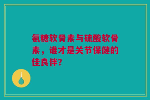 氨糖软骨素与硫酸软骨素，谁才是关节保健的佳良伴？