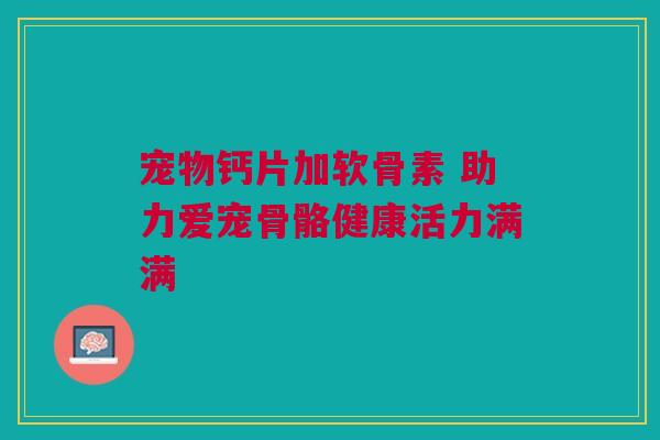 宠物钙片加软骨素 助力爱宠骨骼健康活力满满