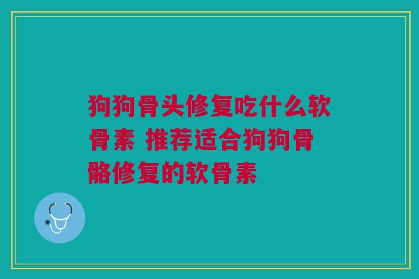狗狗骨头修复吃什么软骨素 推荐适合狗狗骨骼修复的软骨素
