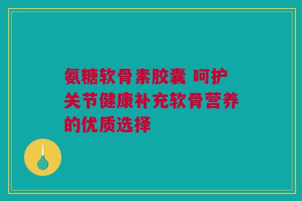 氨糖软骨素胶囊 呵护关节健康补充软骨营养的优质选择