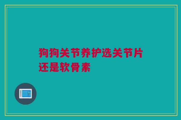 狗狗关节养护选关节片还是软骨素