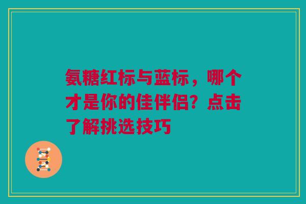 氨糖红标与蓝标，哪个才是你的佳伴侣？点击了解挑选技巧