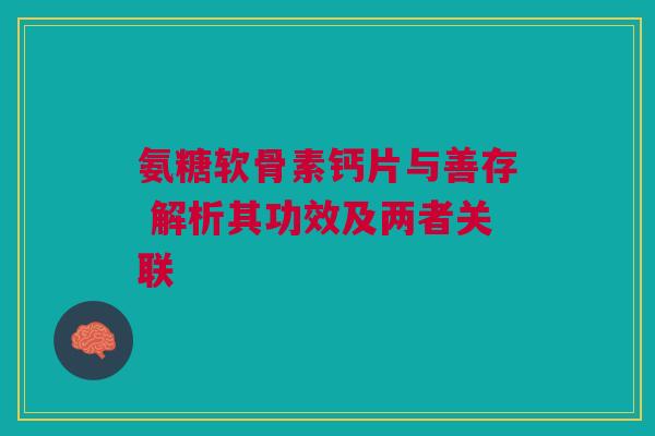 氨糖软骨素钙片与善存 解析其功效及两者关联