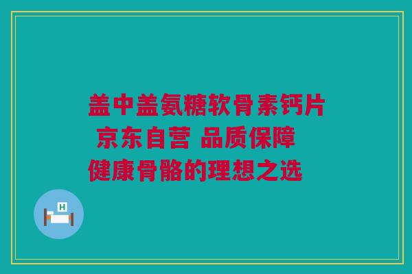 盖中盖氨糖软骨素钙片 京东自营 品质保障健康骨骼的理想之选