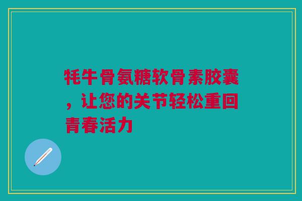 牦牛骨氨糖软骨素胶囊，让您的关节轻松重回青春活力