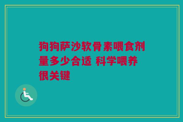 狗狗萨沙软骨素喂食剂量多少合适 科学喂养很关键