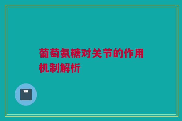 葡萄氨糖对关节的作用机制解析