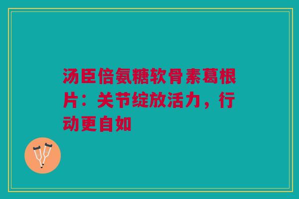 汤臣倍氨糖软骨素葛根片：关节绽放活力，行动更自如