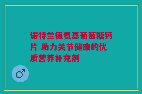 诺特兰德氨基葡萄糖钙片 助力关节健康的优质营养补充剂