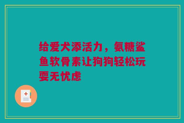 给爱犬添活力，氨糖鲨鱼软骨素让狗狗轻松玩耍无忧虑