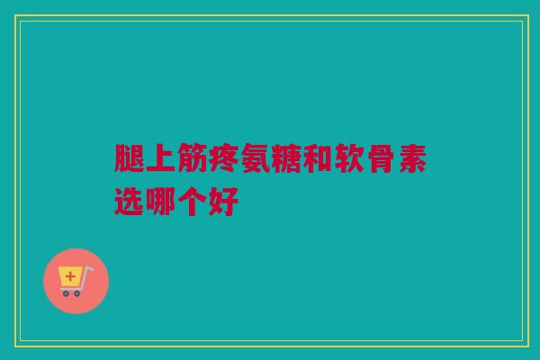 腿上筋疼氨糖和软骨素选哪个好